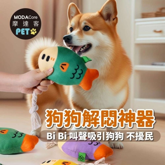 摩達客寵物-棉繩咬咬發聲玩具-可愛大頭魚-狗猫磨牙互動紓壓_陪伴布娃娃自嗨解悶
