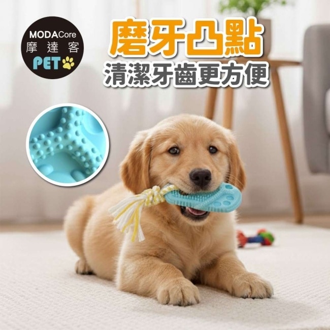 摩達客寵物-狗貓紓壓磨牙玩具-藍拖鞋+獨眼獸葫蘆款兩件B組-潔齒自嗨耐咬解悶寵物玩具
