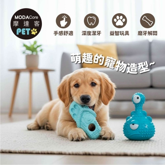 摩達客寵物-狗貓紓壓磨牙玩具-藍拖鞋+獨眼獸葫蘆款兩件B組-潔齒自嗨耐咬解悶寵物玩具