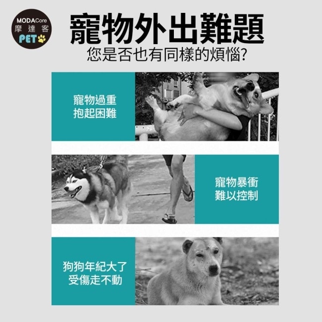 摩達客-HB04大空間 輕便 超透氣 可容數隻小型犬貓動物 折疊寵物推車/綠色款/40KG以下貓狗適用
