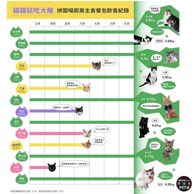 摩達客寵物-拼圖喵廚房貓咪主食餐包400克巨貓版8入-法式軟嫩鮮鴨肉