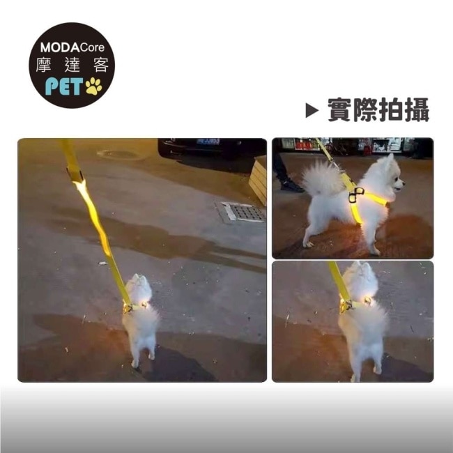 摩達客寵物-LED狗狗發光胸背帶-黃色XL 夜間遛狗 免電池USB充電式 保護防撞防走失