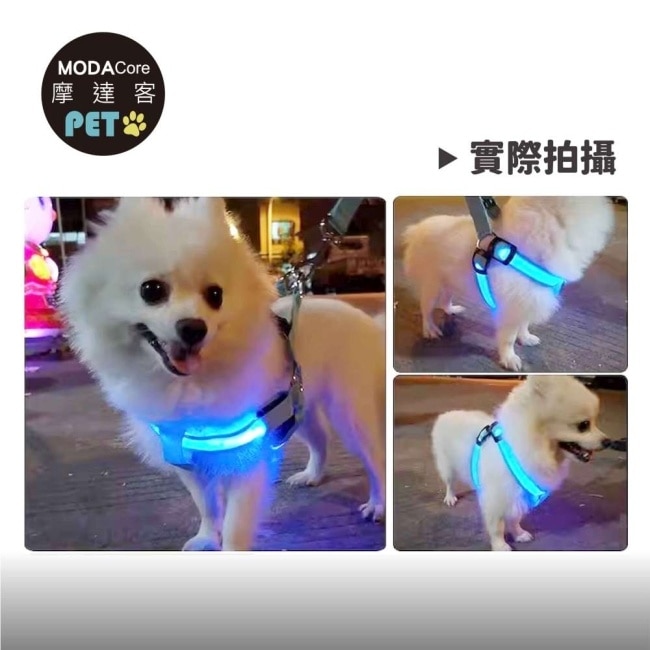摩達客寵物-LED狗狗發光胸背帶-藍色S 夜間遛狗 免電池USB充電式 保護防撞防走失
