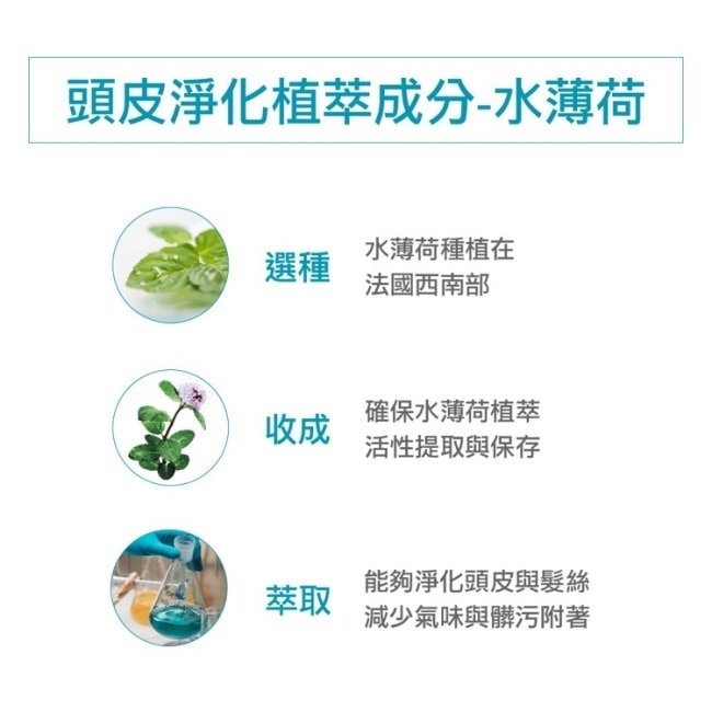 蔻蘿蘭頭皮淨化涼感洗髮精400ml image