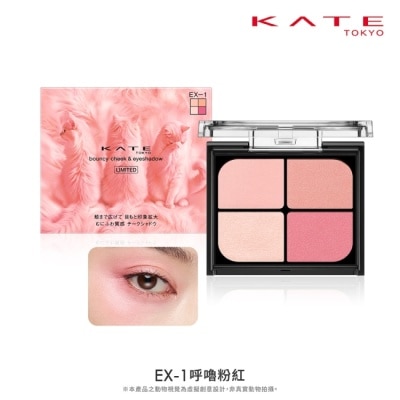 KATE 凱婷 - 凱婷 嫩顏膨膨眼頰盤 EX-1 4.6g image