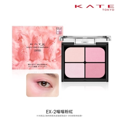 KATE 凱婷 - 凱婷 嫩顏膨膨眼頰盤 EX-2 4.6g image