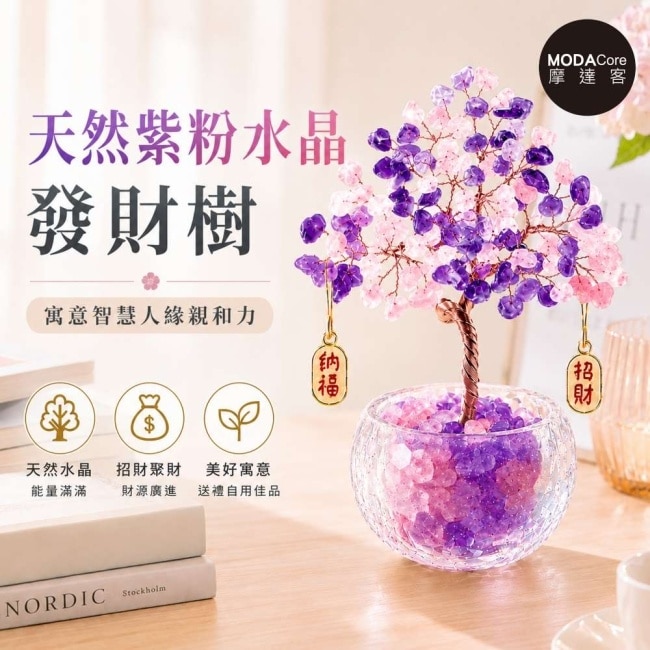 摩達客 天然紫粉水晶發財樹招財納福掛飾透明盆底 寓意智慧人緣親和力 質感居家招福擺飾 image