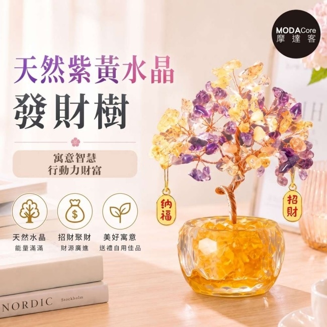 摩達客 天然紫黃水晶發財樹招財納福掛飾透明盆底 寓意智慧行動力財富 質感居家招福擺飾 image