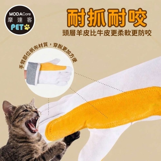 摩達客寵物-貓咪專用防抓防咬手套 五指加厚 耐磨耐咬 日常擼貓 護理防護 image