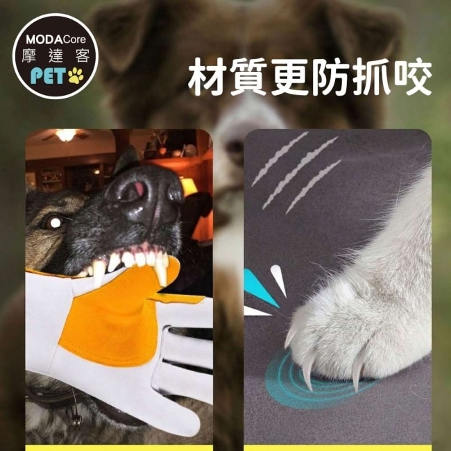 摩達客寵物-貓咪專用防抓防咬手套 五指加厚 耐磨耐咬 日常擼貓 護理防護 image