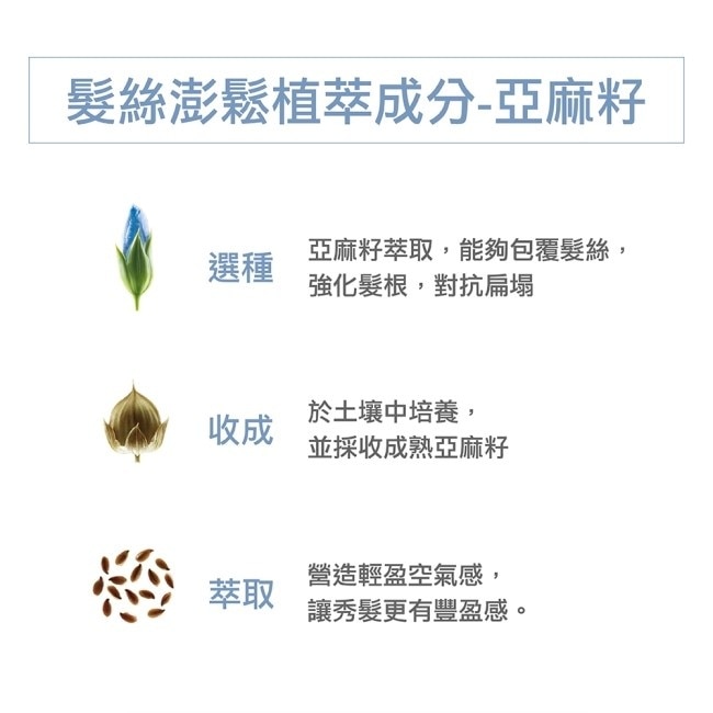 蔻蘿蘭澎鬆修護小資組(豐盈澎鬆洗髮精400ml*1+澎鬆修護乾洗髮50ml*1)