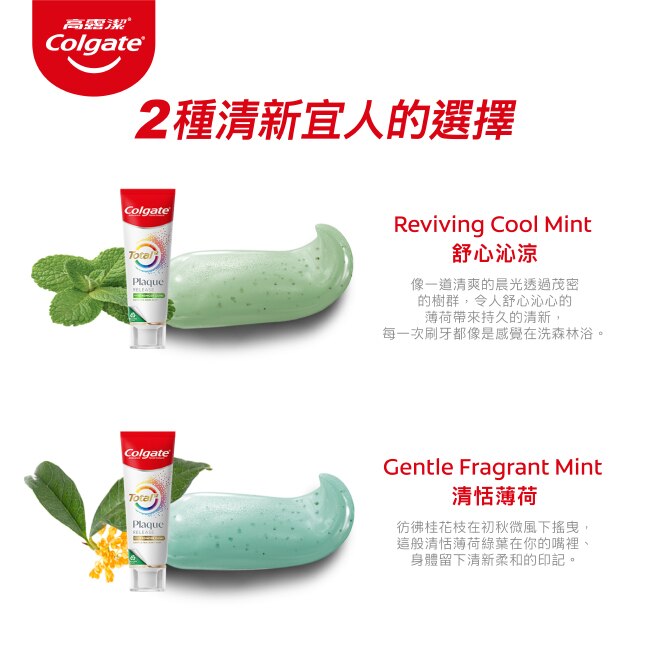 高露潔全效抗牙菌斑清恬薄荷牙膏95g*4